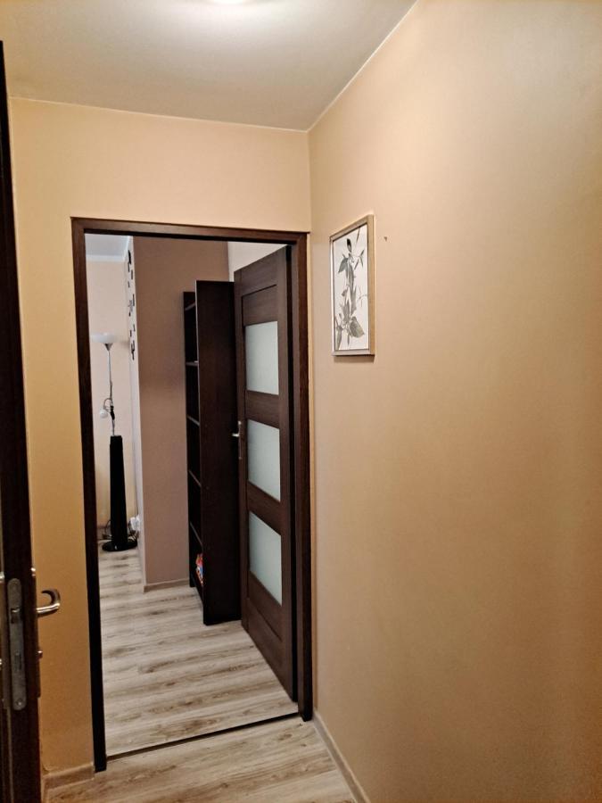 Monica Daire Jelenia Gora Dış mekan fotoğraf